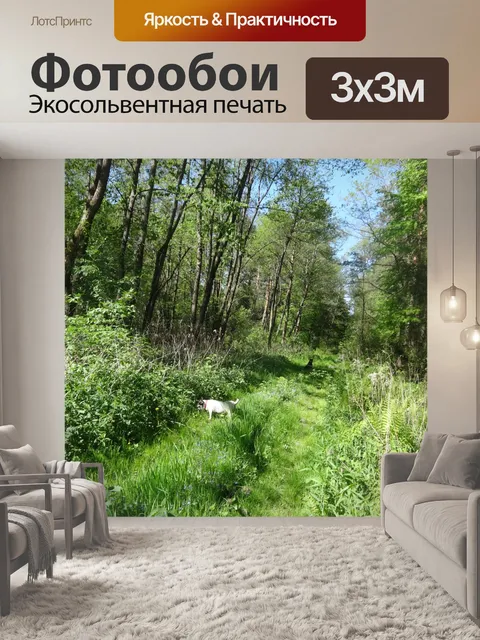 Фотообои Лес в Польше