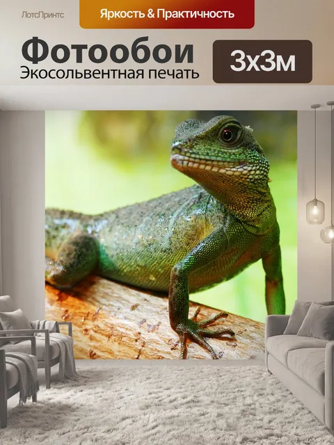 Фотообои Китайские воды дракон