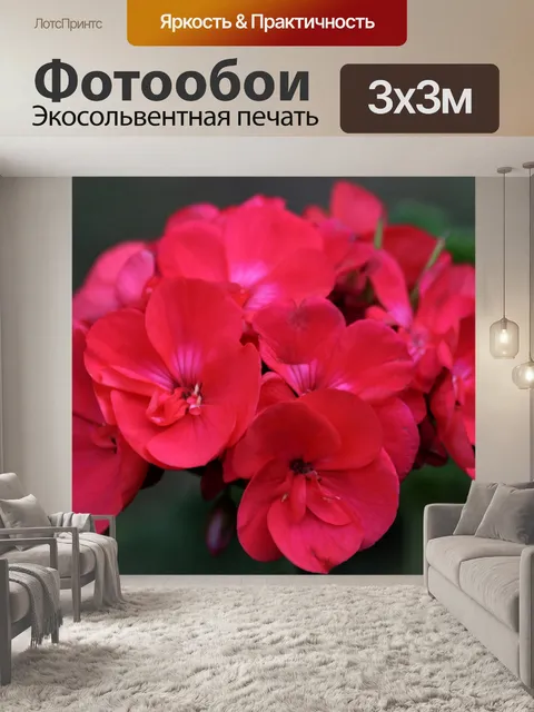 Фотообои Коралловый цветок герани