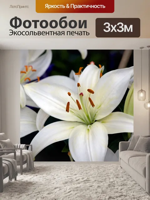 Фотообои Белые лилии цветы