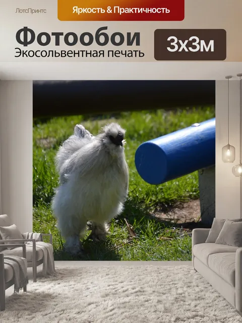 Фотообои Seidenhuhn