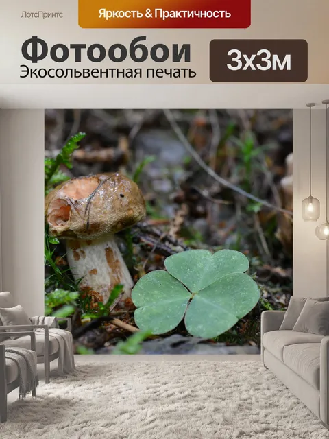 Фотообои В мох
