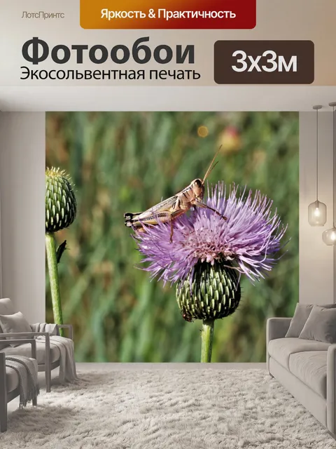 Фотообои Браун Кузнечик на Высоком Чертополохе 2
