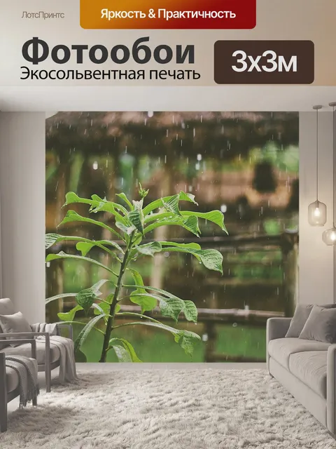 Фотообои Дождь