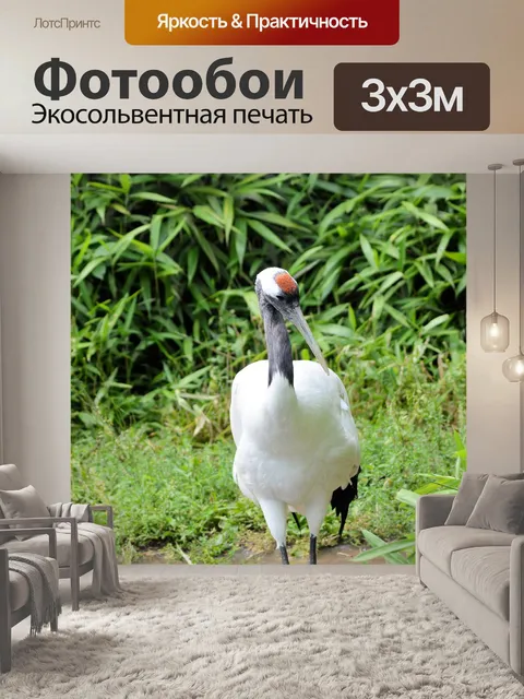Фотообои Японский журавль