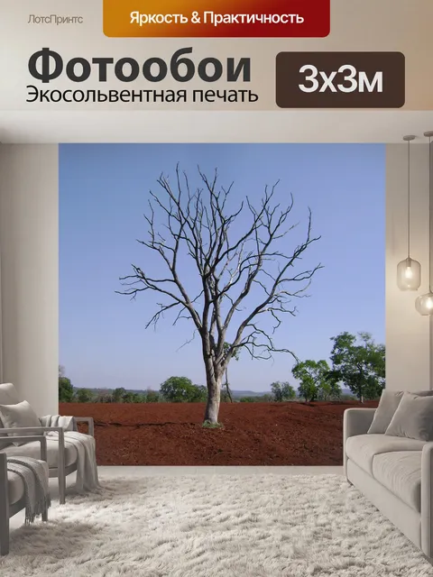 Фотообои Дерево