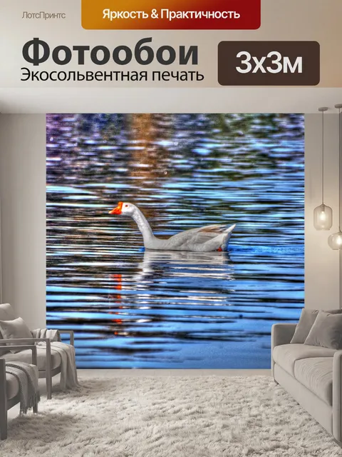 Фотообои Гусь