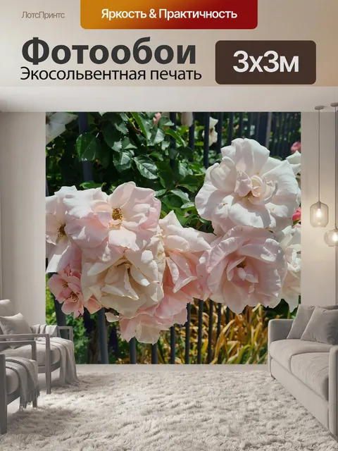 Фотообои Розово-белая камелия