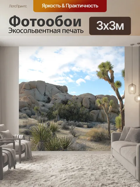 Фотообои Национальный парк джошуа-три