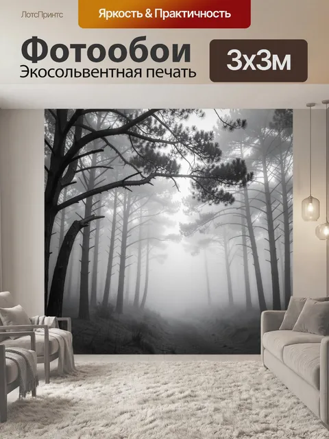 Фотообои Туманный сосновый лес