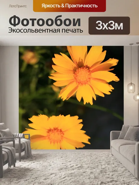 Фотообои солнце на желтых ромашек