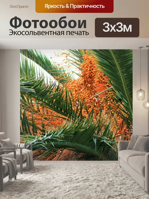 Фотообои декоративные Дата пальма