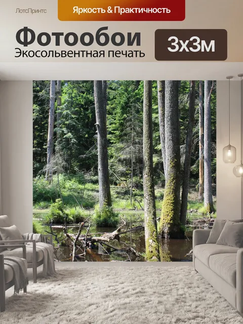 Фотообои Лес, Польша