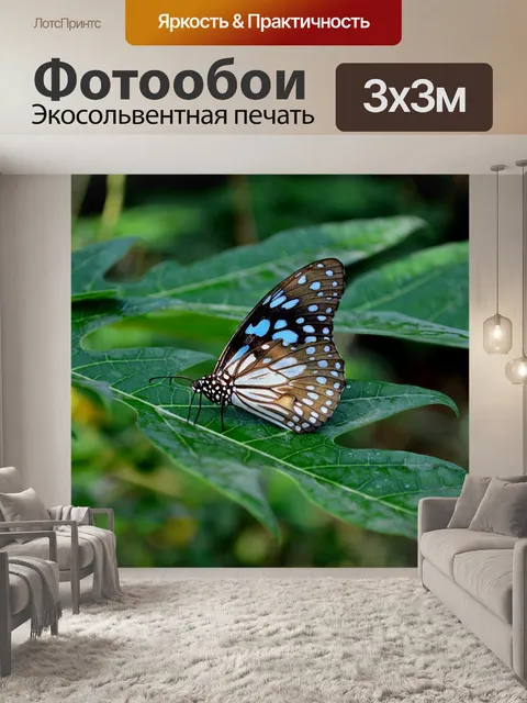Фотообои Синий тигр бабочка