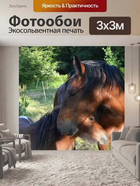 Фотообои Конный конский коричневый