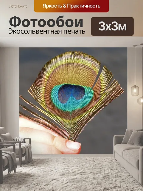 Фотообои Перо