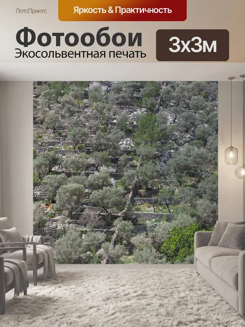 Фотообои Оливковая роща