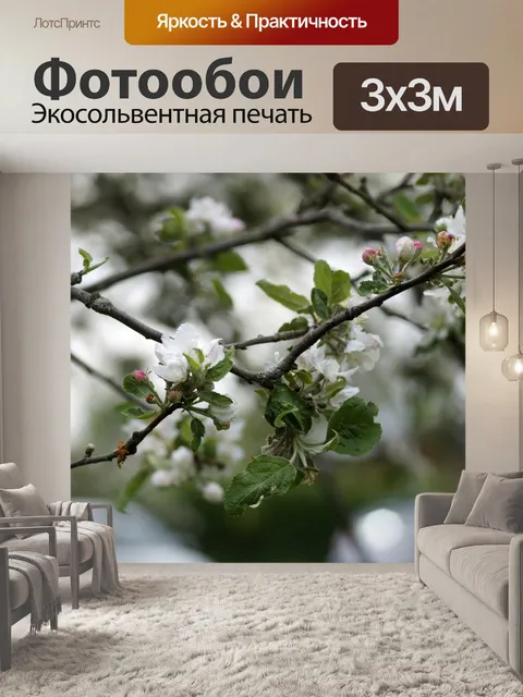 Фотообои Яблоневый цвет ветка весна яблоня
