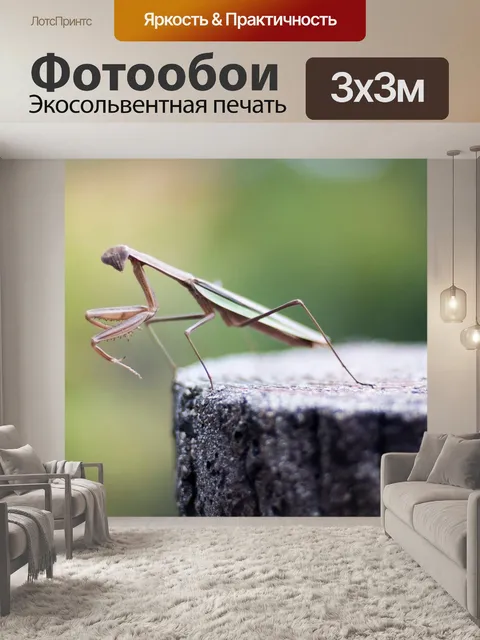 Фотообои Богомол