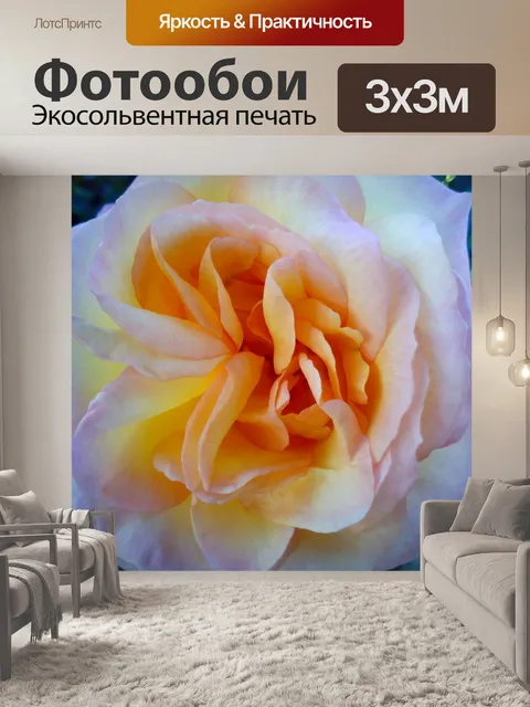 Фотообои Розы
