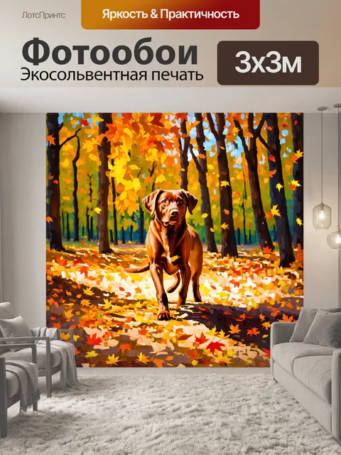 Фотообои коричневый лабрадор, играющий в осеннем лесу, окруженный яркими цветными листьями