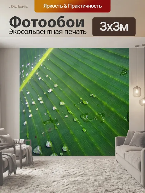 Фотообои Банан поверхности листьев после дождя