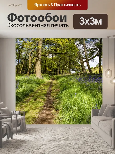 Фотообои Зеленый лес