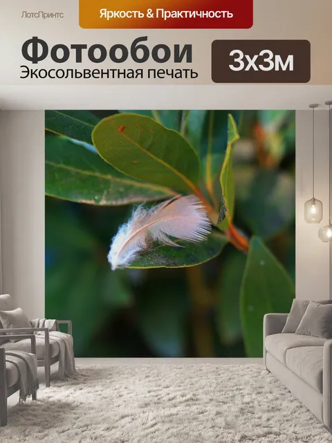 Фотообои белое перо на листьях