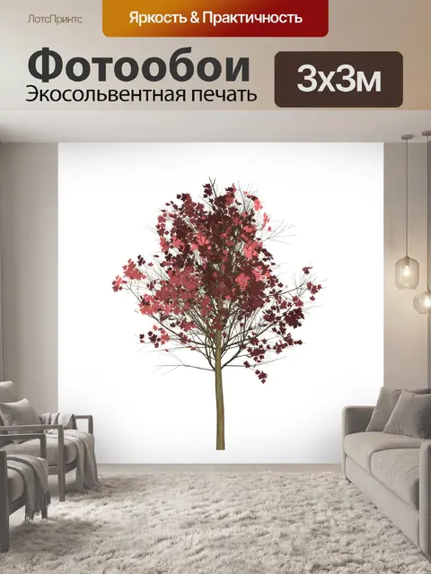 Фотообои Клен