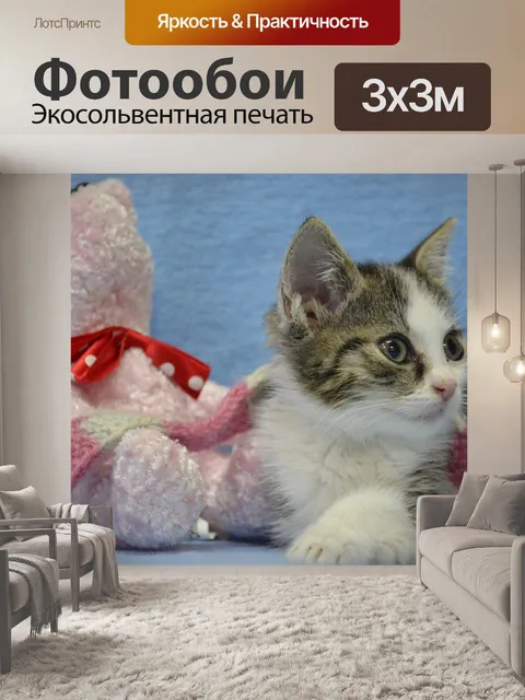 Фотообои Модель