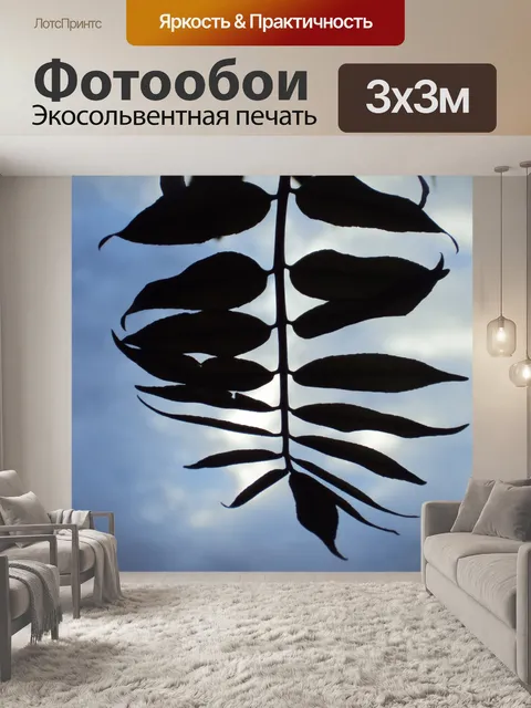 Фотообои Облачно Закат
