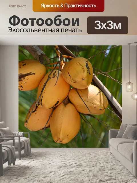 Фотообои Кокосы