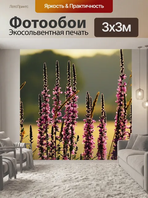 Фотообои Вербейник