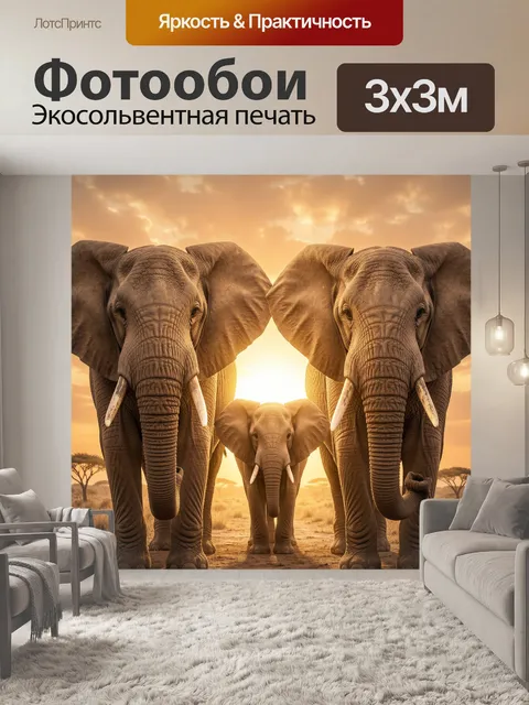 Фотообои Семья слонов на закате