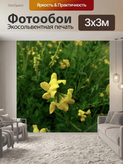 Фотообои Желтый цветок