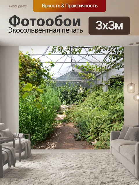Фотообои Заброшенная теплица