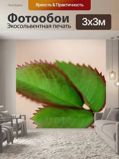 Фотообои Лепестками роз