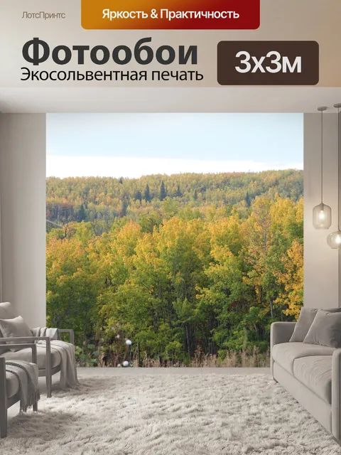 Фотообои Цвета осенних деревьев