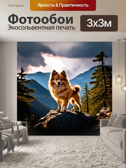 Фотообои первобытный шпиц, обладая мужественным видом, стоит на скале, окруженный величественными горами и глубокими…