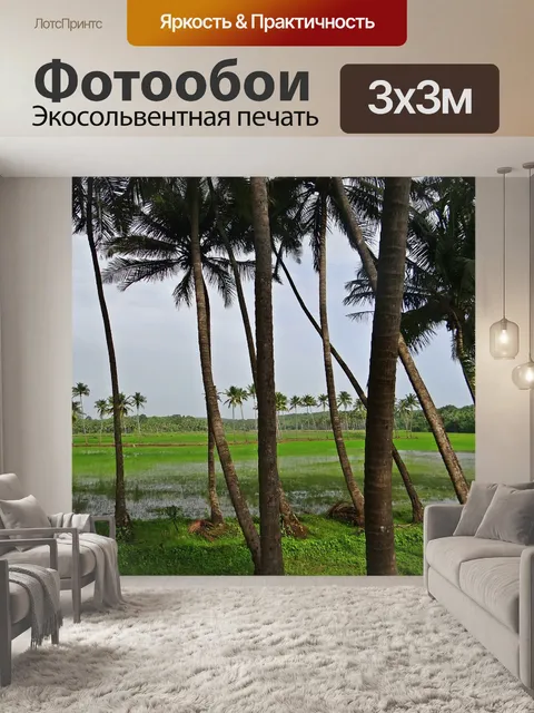 Фотообои Кокосовые рощи