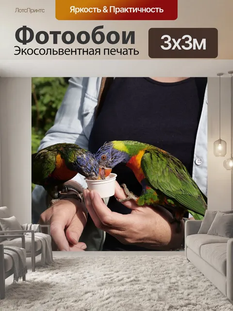 Фотообои Птицы