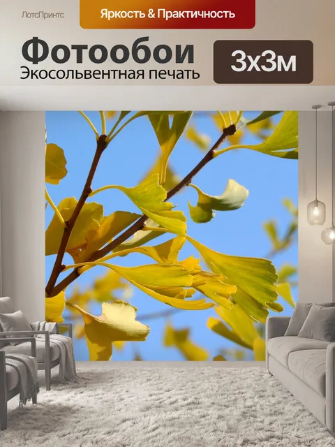 Фотообои Гинкго билоба