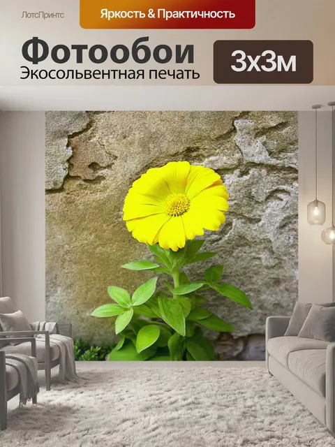 Фотообои яркий желтый цветок, растущий на фоне старой стены, выполненный в технике макрофотографии для акцентирования…