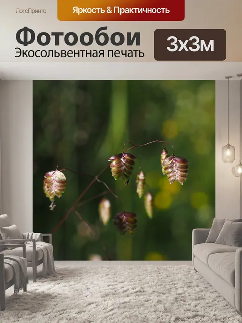 Фотообои Колоски