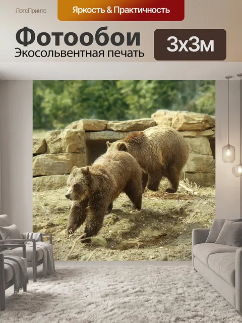 Фотообои Медведи гризли, играющие 1