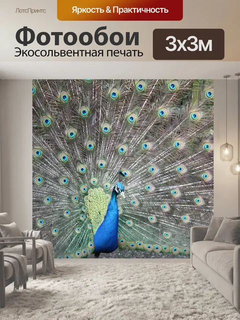 Фотообои Павлин