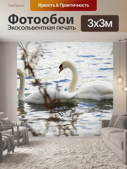 Фотообои Лебеди