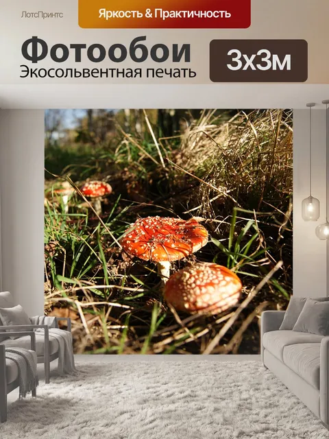 Фотообои Осень