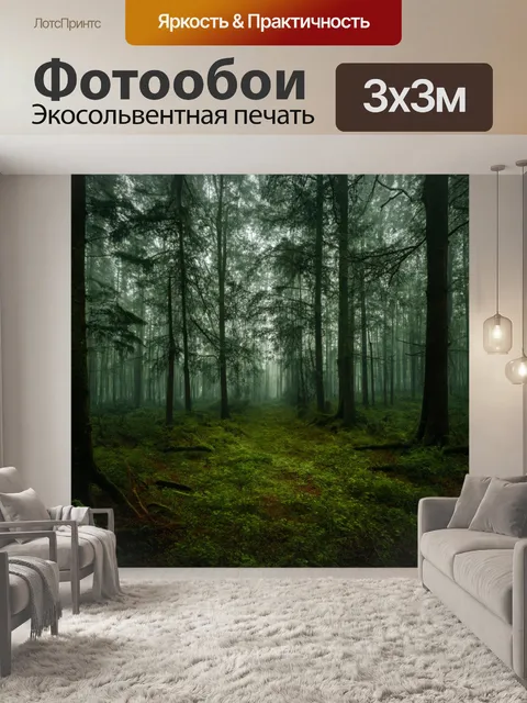Фотообои мрачный лес с атмосферой загадки и таинственности