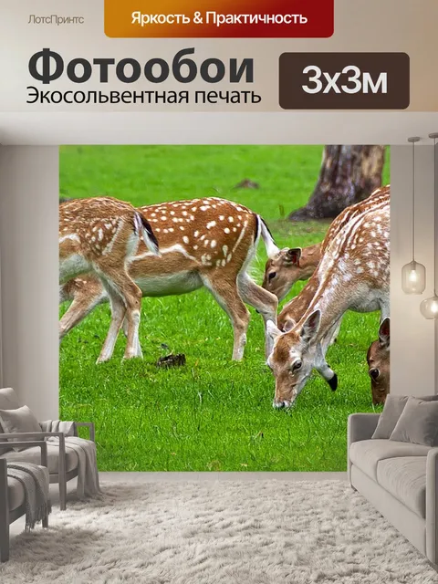 Фотообои Олень